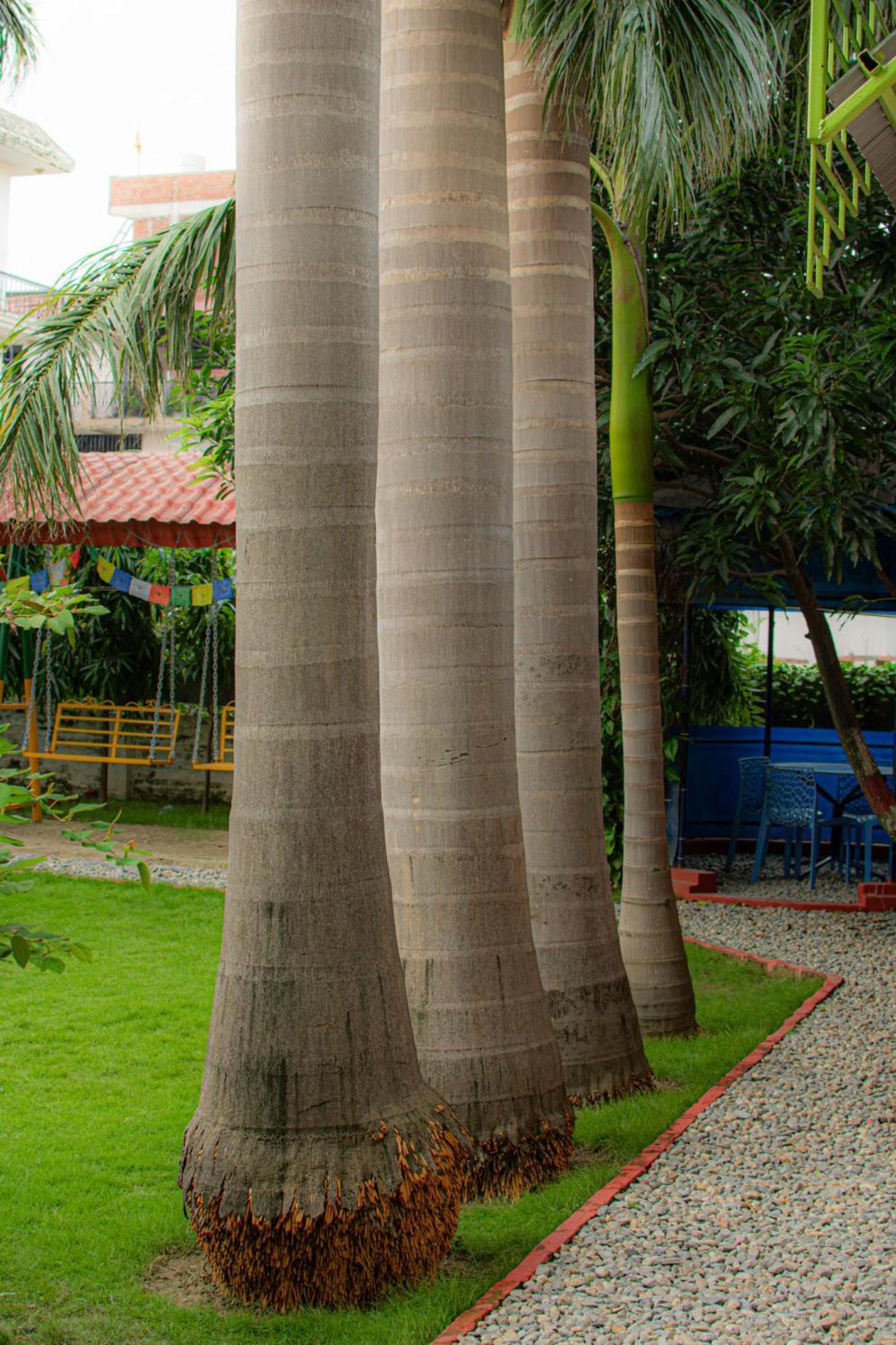 Galaxy Guest House Siddharthanagar Экстерьер фото