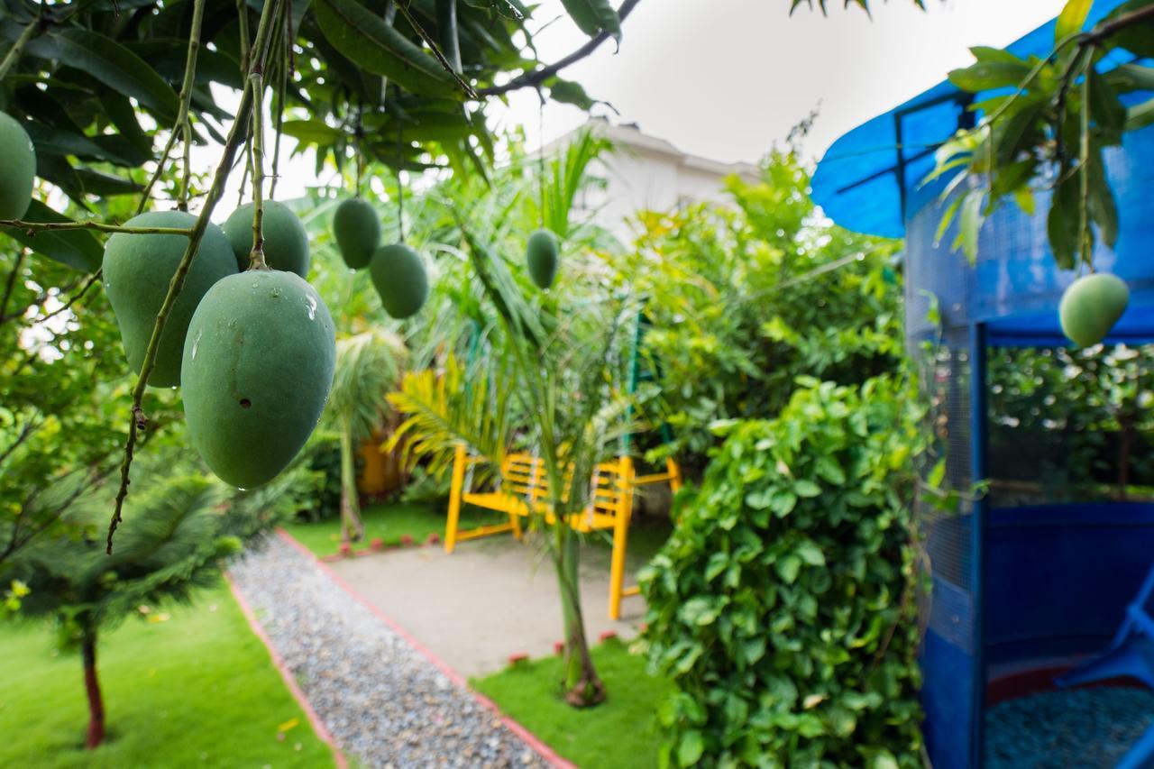 Galaxy Guest House Siddharthanagar Экстерьер фото